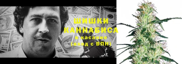 ECSTASY Горняк
