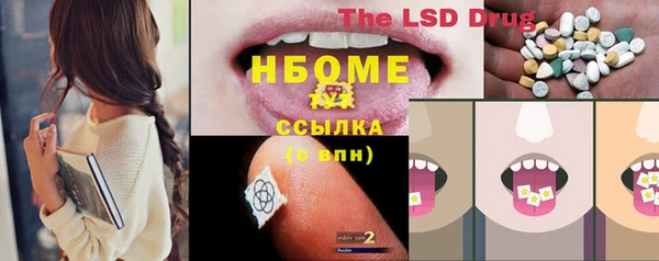 тгк Горнозаводск