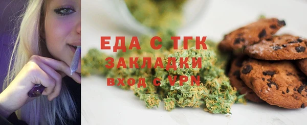 индика Тобольск