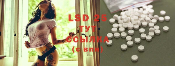 ECSTASY Горняк