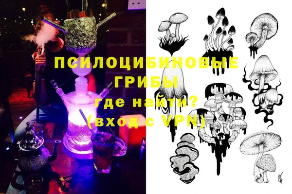 мяу мяу мука Горно-Алтайск