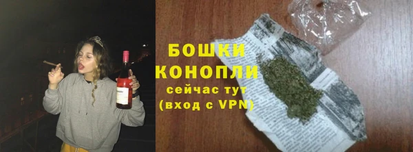 сатива Гусь-Хрустальный