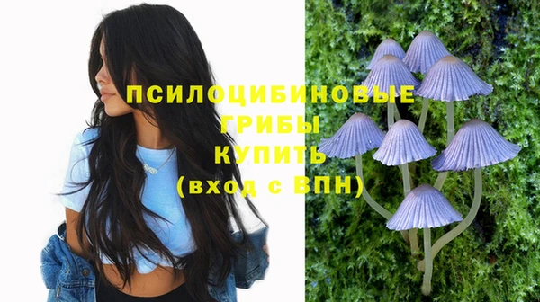 тгк Горнозаводск