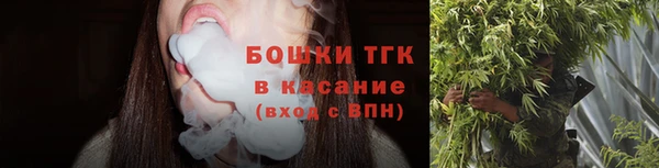 тгк Горнозаводск