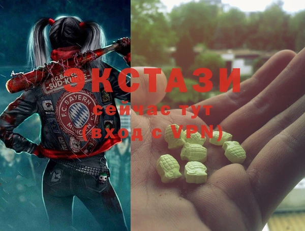 ECSTASY Горняк