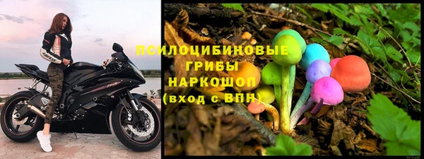 ECSTASY Горняк