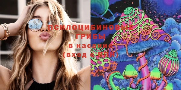 тгк Горнозаводск