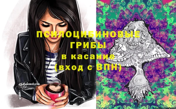 тгк Горнозаводск